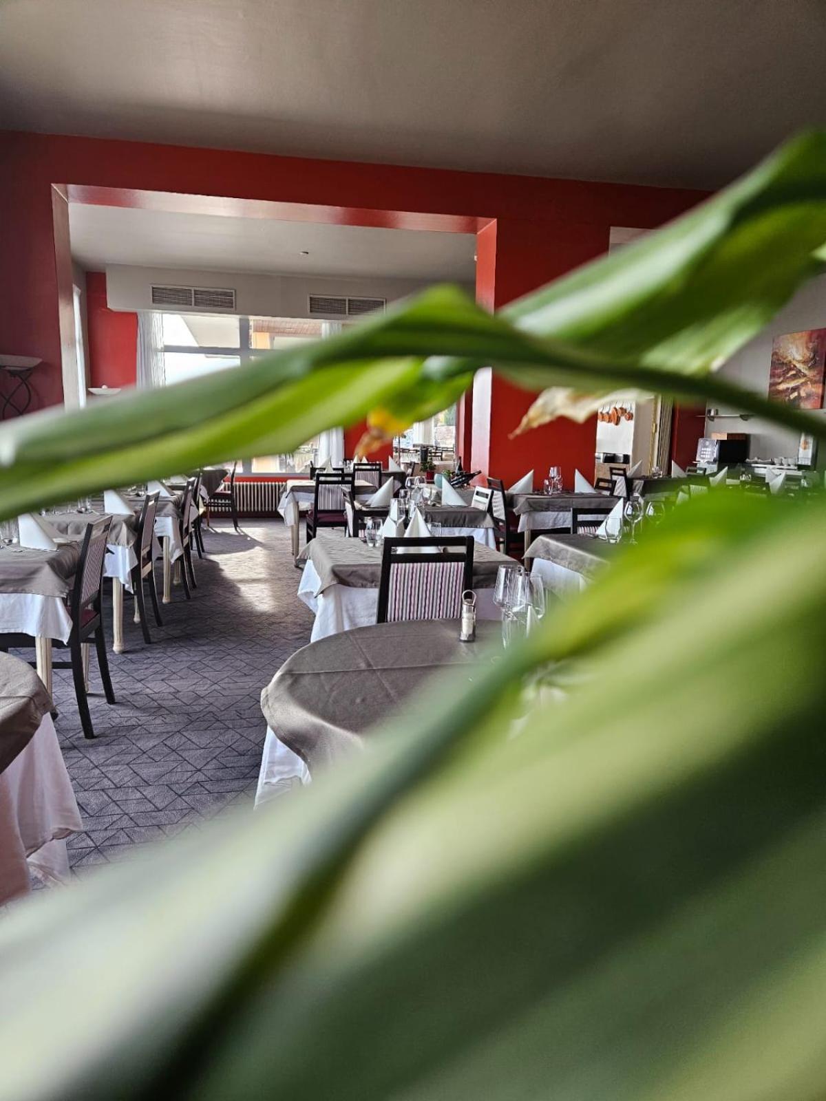Hotel Alexain Restaurant & Wellness - Colmar Ouest
