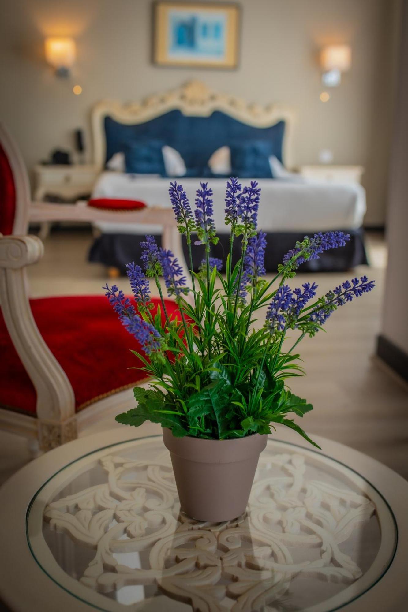 Hotel Alexain Restaurant & Wellness - Colmar Ouest