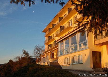 Alexain Restaurant & Wellness - Colmar Ouest Trois-Épis