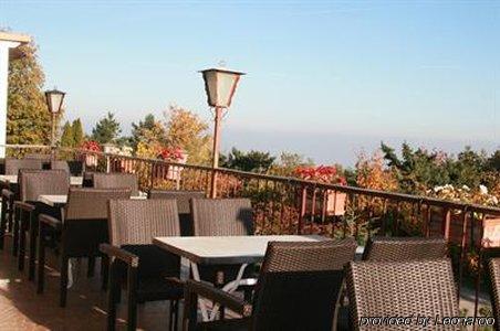 Hotel Alexain Restaurant & Wellness - Colmar Ouest