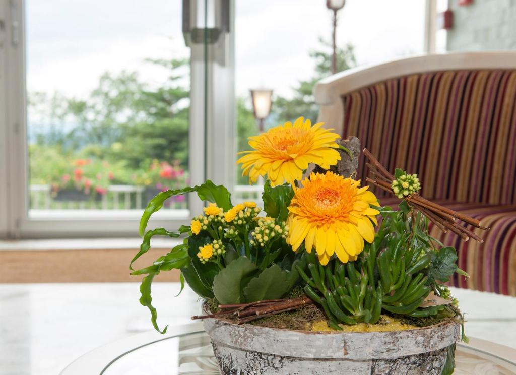 Hotel Alexain Restaurant&wellness - Colmar Ouest