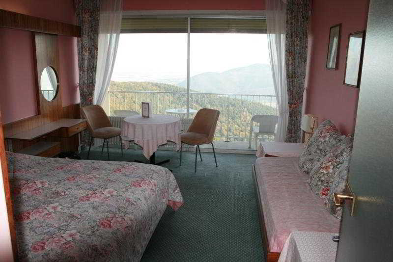 Hotel Alexain Restaurant&wellness - Colmar Ouest